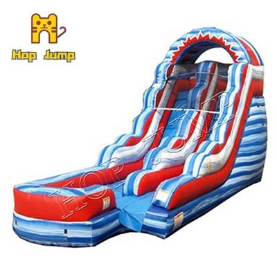 Flash 15ft Inflatable bounce Water Slide With Badge Water Park Commercial