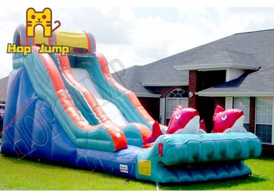 Kids Marble Wet Dry Inflatable Water Slide Colorful Custom Size