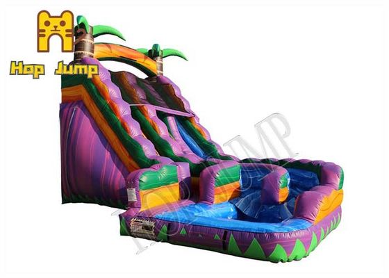 Giant Palm Tree Tropical Purple Inflatable Water Slide For Kids