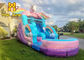 2021 new arrival Inflatable water slide with inflatable pool slide for sale Adults and Kids 	Inflatable Bouncer Combo