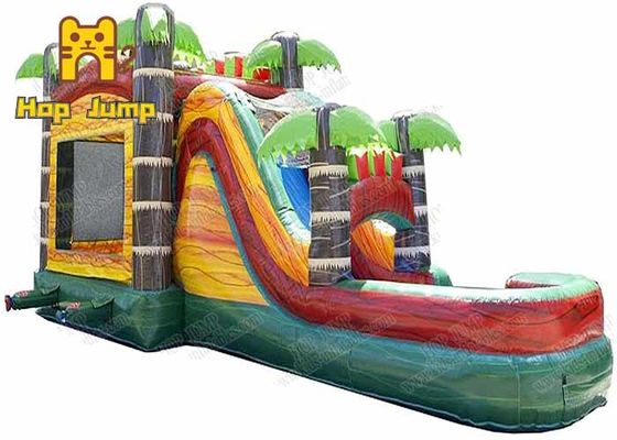 Kids Outdoor Summer Playing Inflatable Bouncer Combo With Water Slide