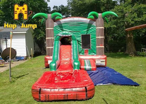 Kids Outdoor Summer Playing Inflatable Bouncer Combo With Water Slide