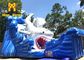 Giant Shark Inflatable Water Slide 0.55mm Pvc Water Slide For Kids