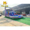 Purple Palm Tree Marble Inflatable Water Slide With Water Pool